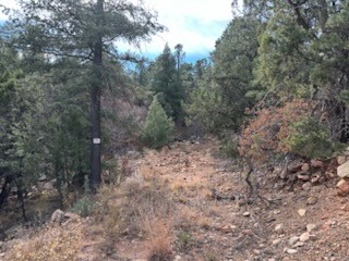 Tracts D1, D2-A, D2-B Dragonfly Canyon Rd