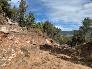 Tracts D1, D2-A, D2-B Dragonfly Canyon Rd
