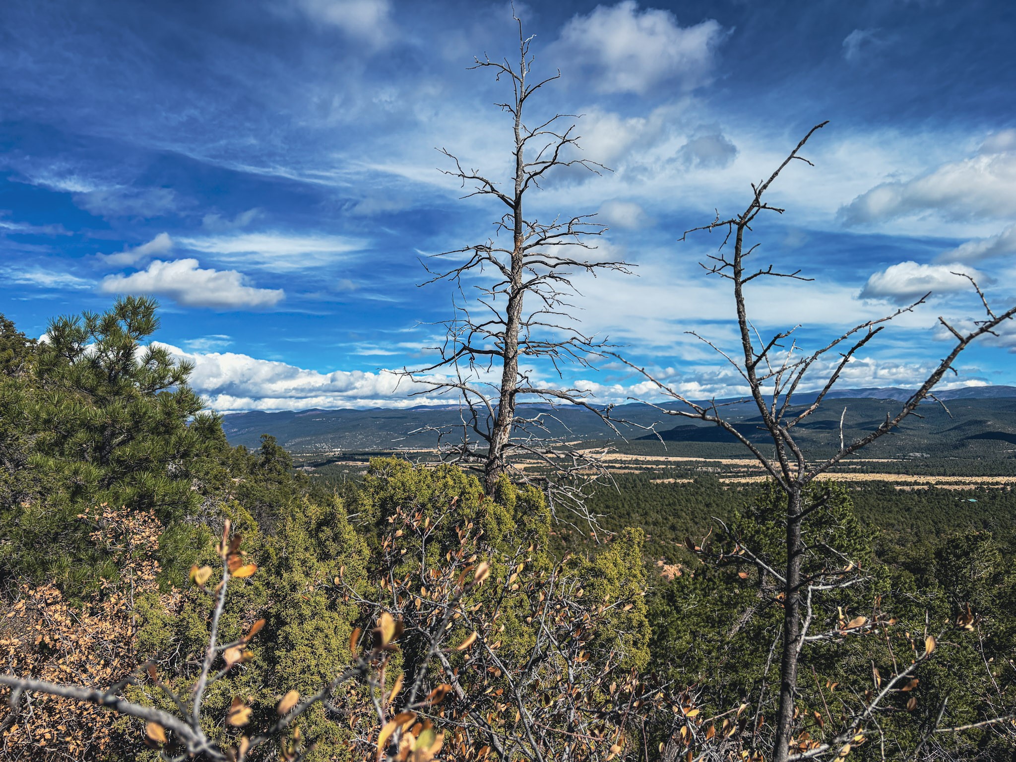 Tracts D1, D2-A, D2-B Dragonfly Canyon Rd