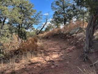 Tracts D1, D2-A, D2-B Dragonfly Canyon Rd