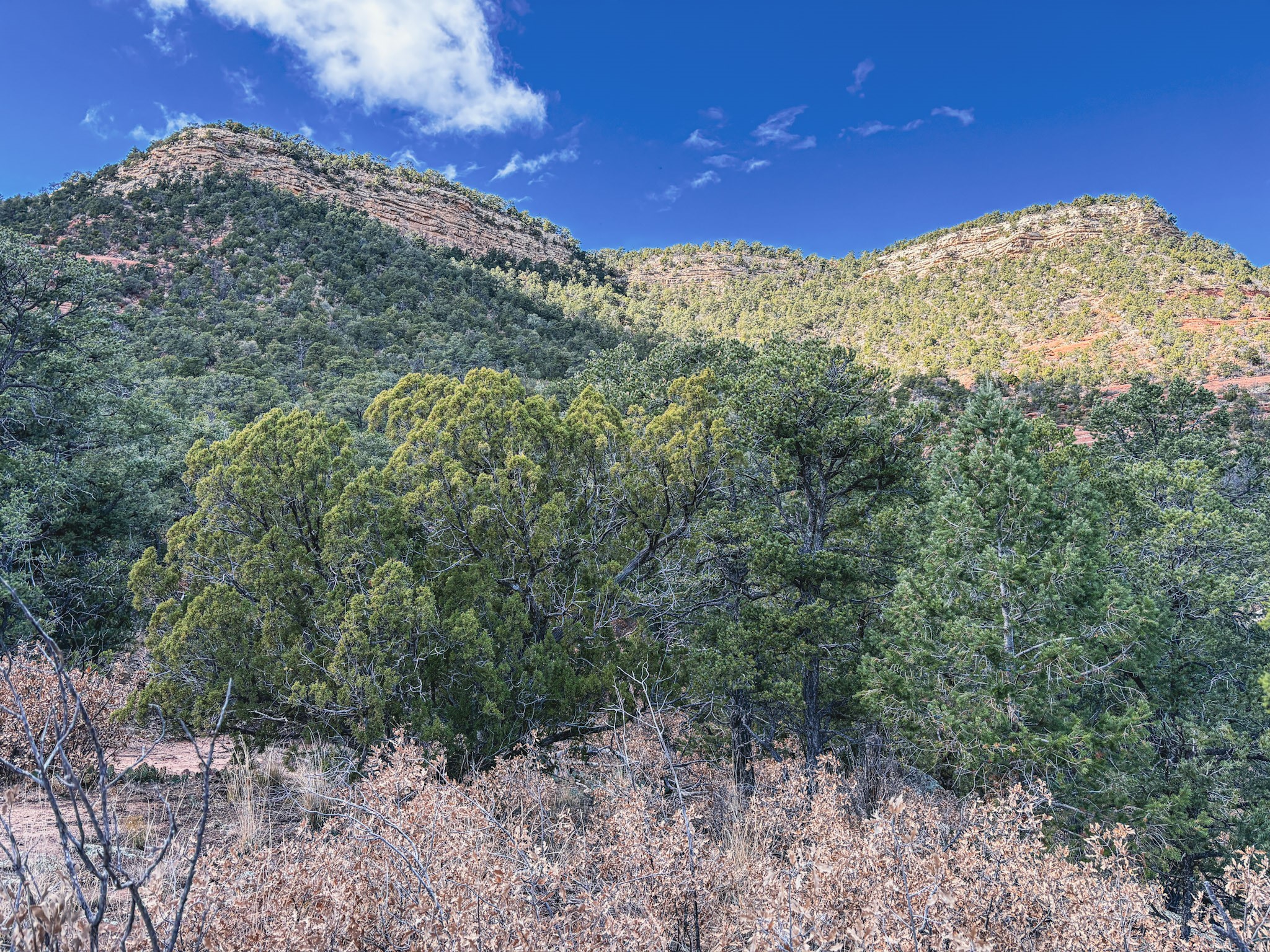 Tracts D1, D2-A, D2-B Dragonfly Canyon Rd