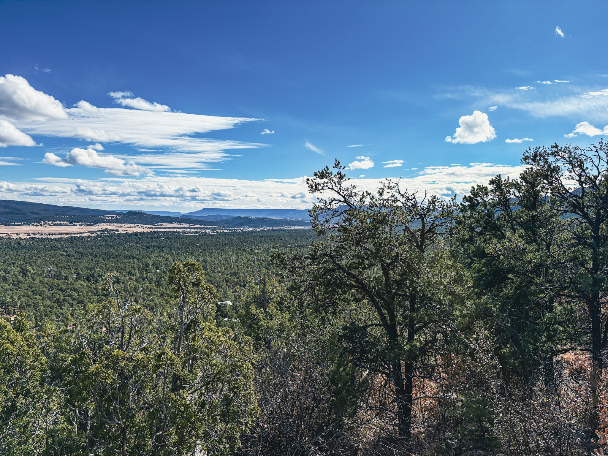 Tracts D1, D2-A, D2-B Dragonfly Canyon Rd
