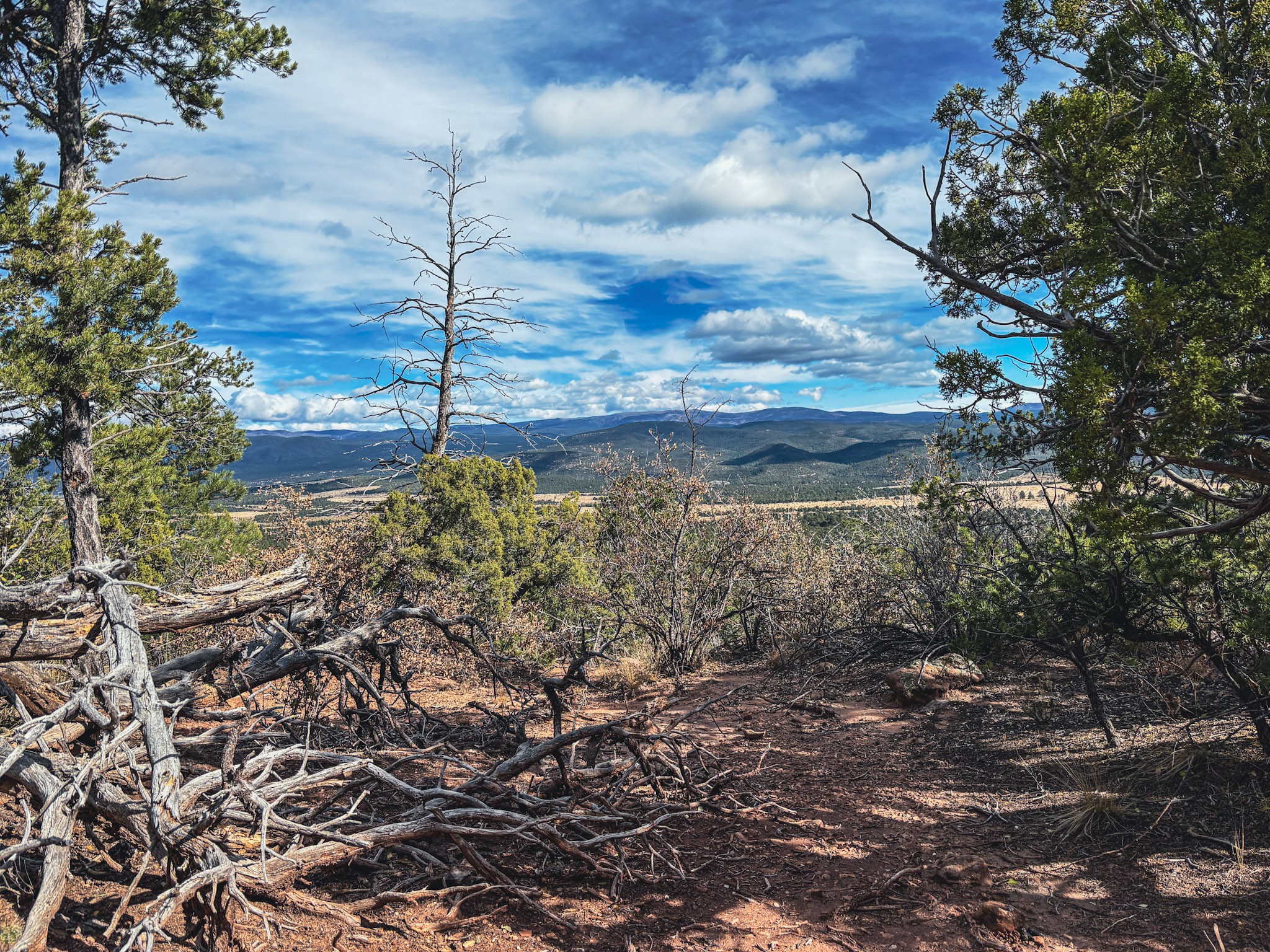 Tracts D1, D2-A, D2-B Dragonfly Canyon Rd