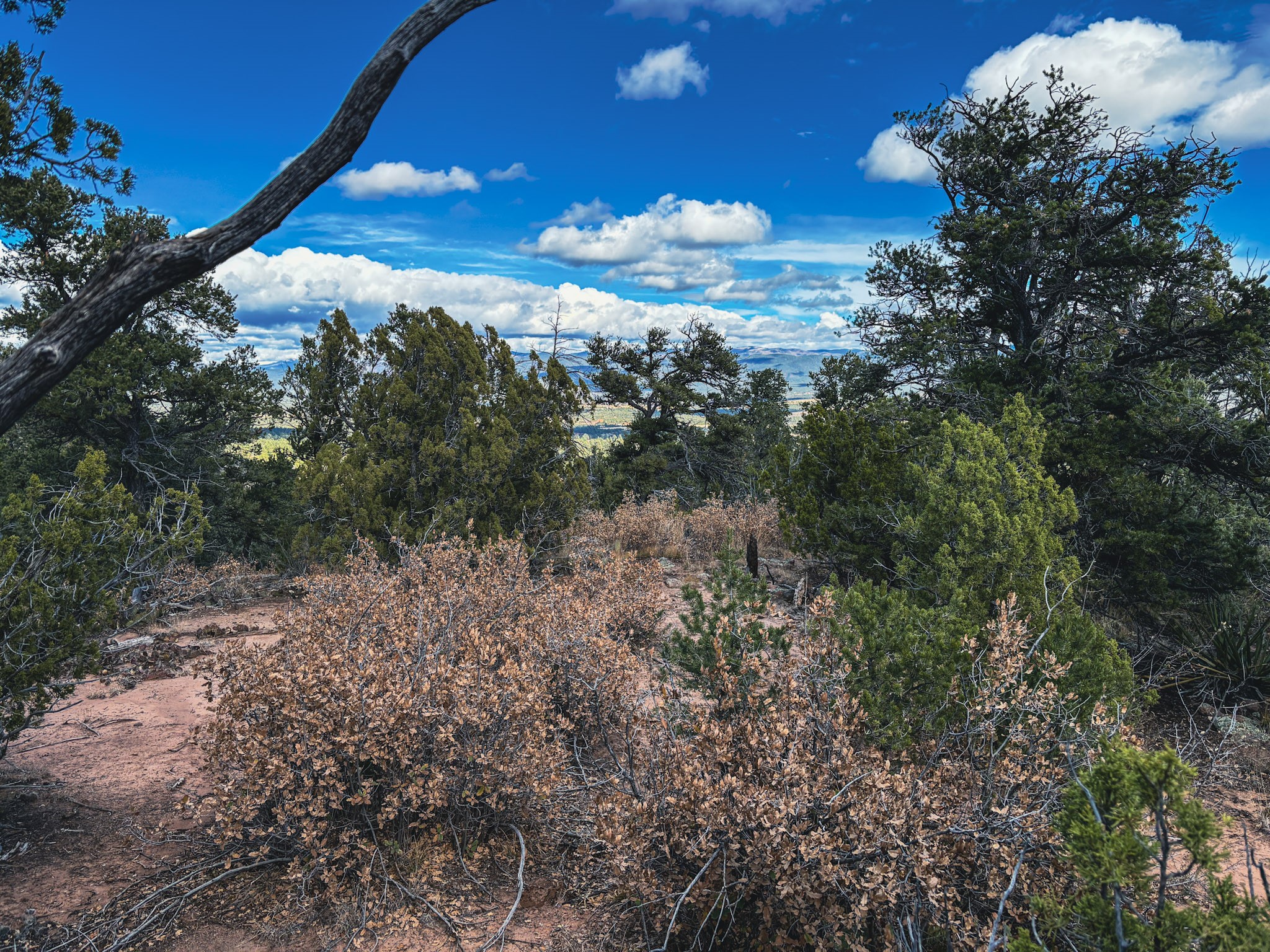 Tracts D1, D2-A, D2-B Dragonfly Canyon Rd
