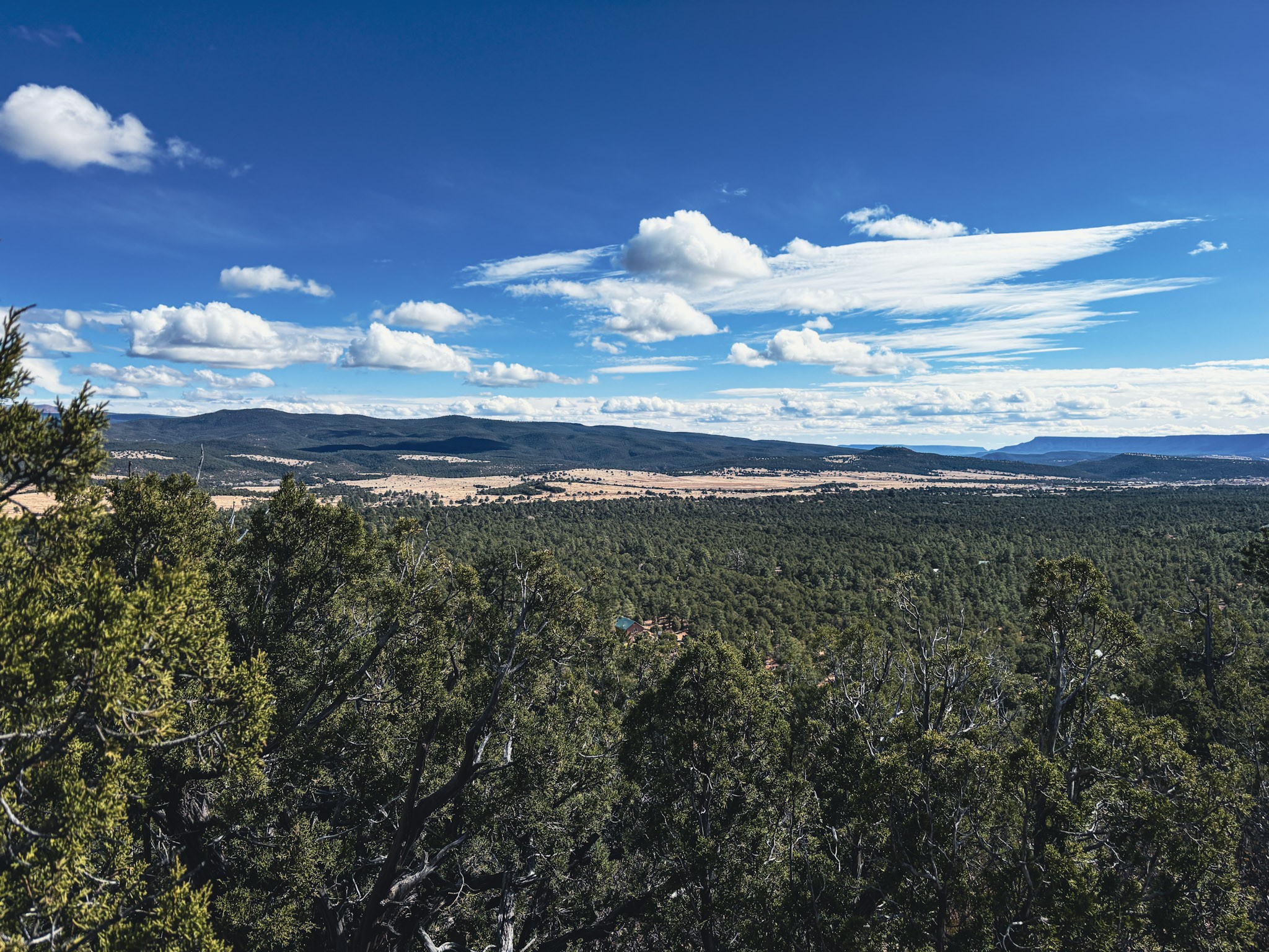 Tracts D1, D2-A, D2-B Dragonfly Canyon Rd
