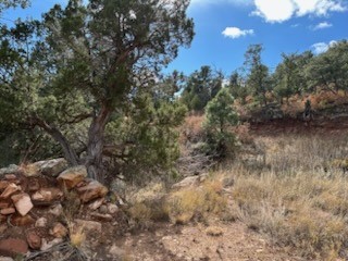Tracts D1, D2-A, D2-B Dragonfly Canyon Rd