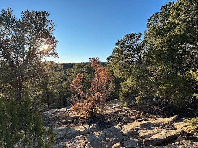 103 Hidden Valley Ranch Road
