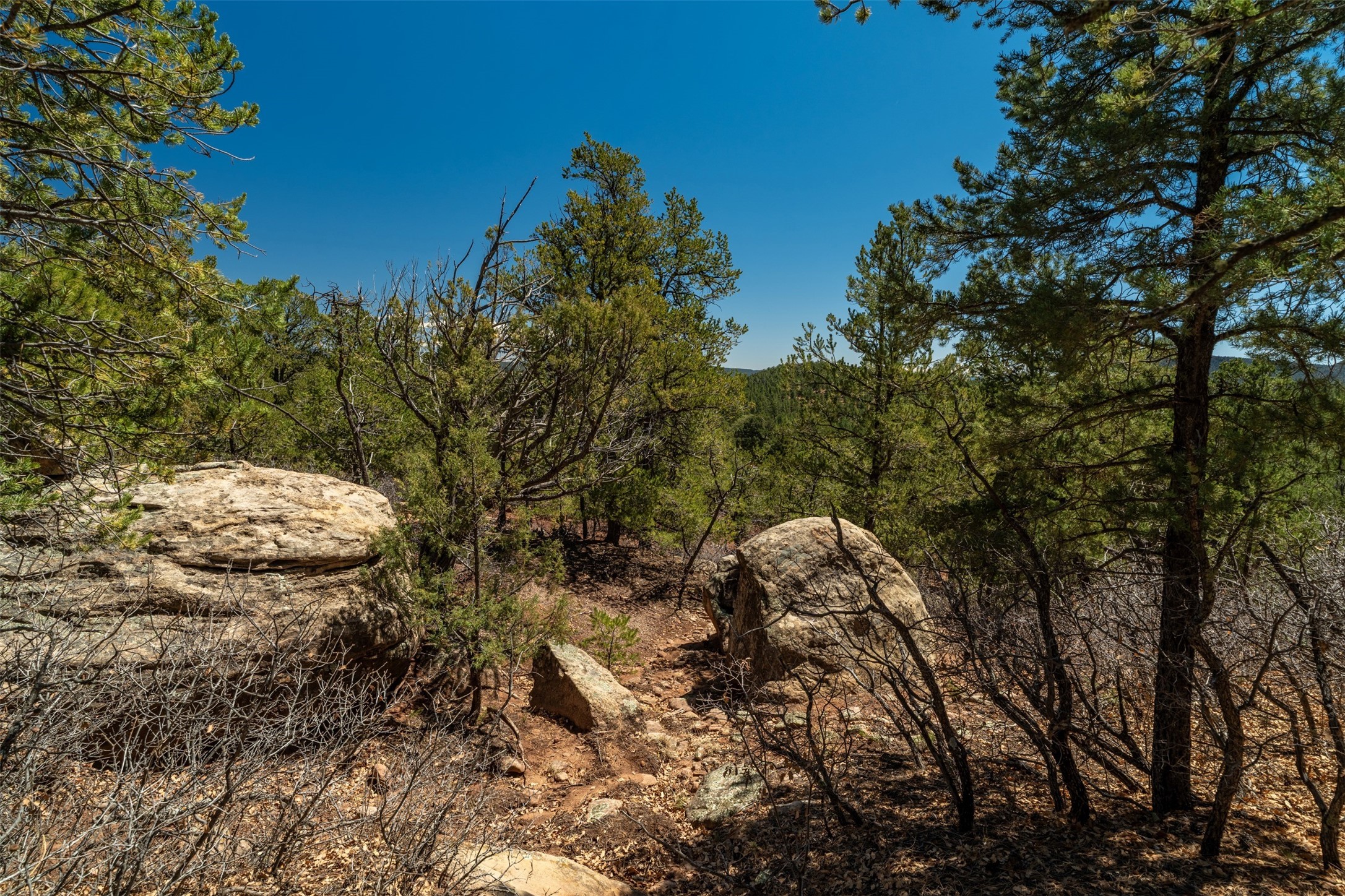 30 Monte La Cueva Road