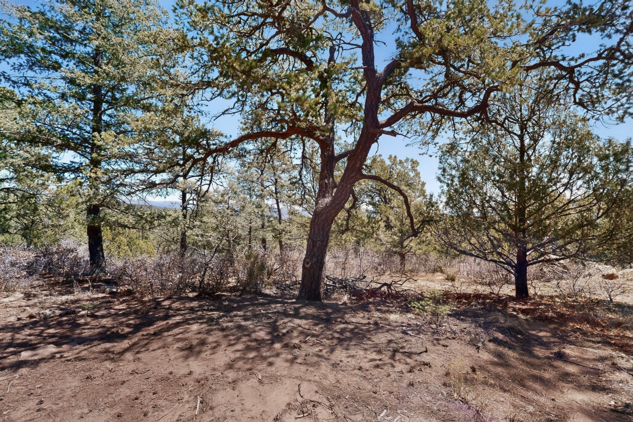 30 Monte La Cueva Road