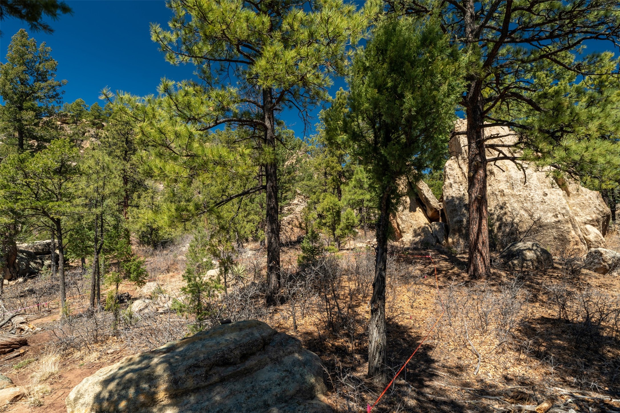 30 Monte La Cueva Road