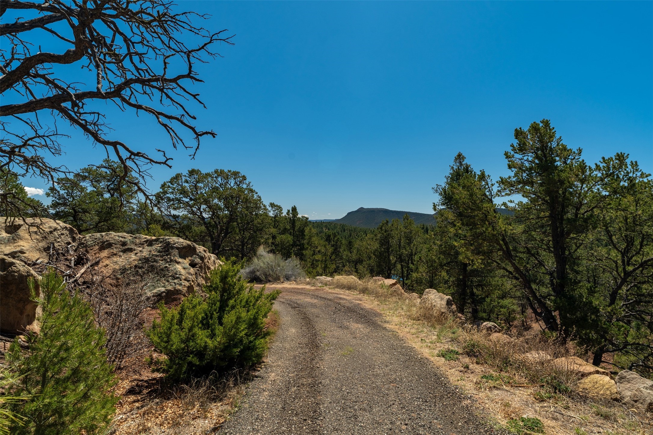 30 Monte La Cueva Road