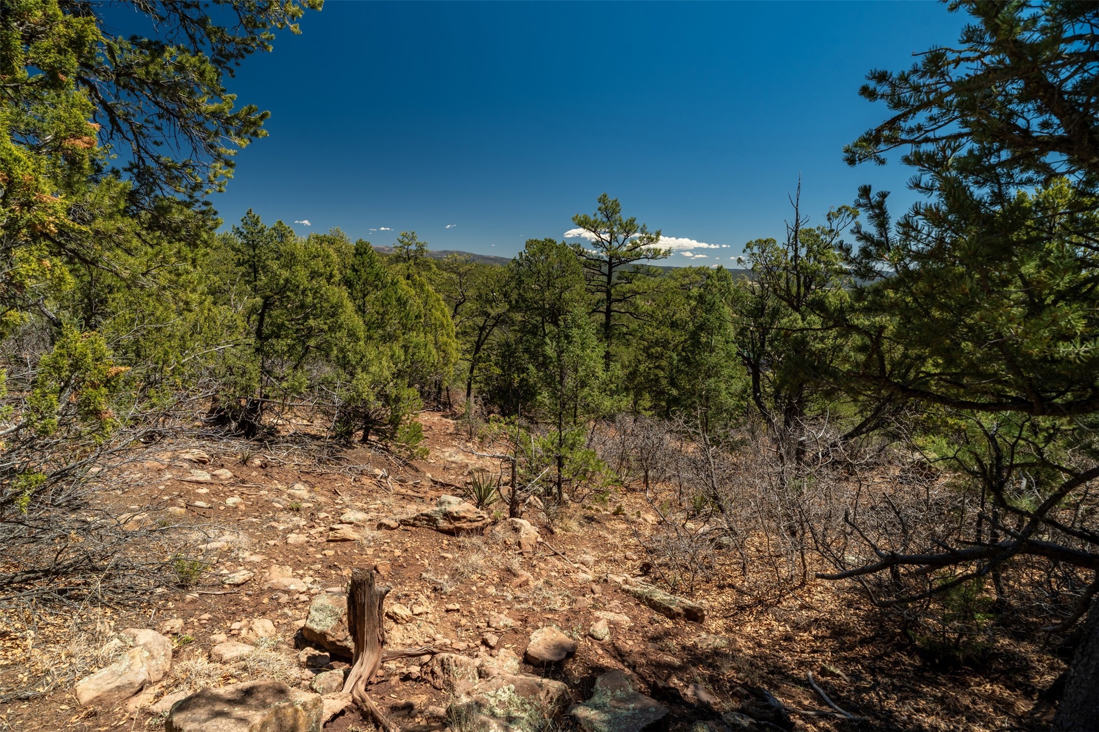 30 Monte La Cueva Road