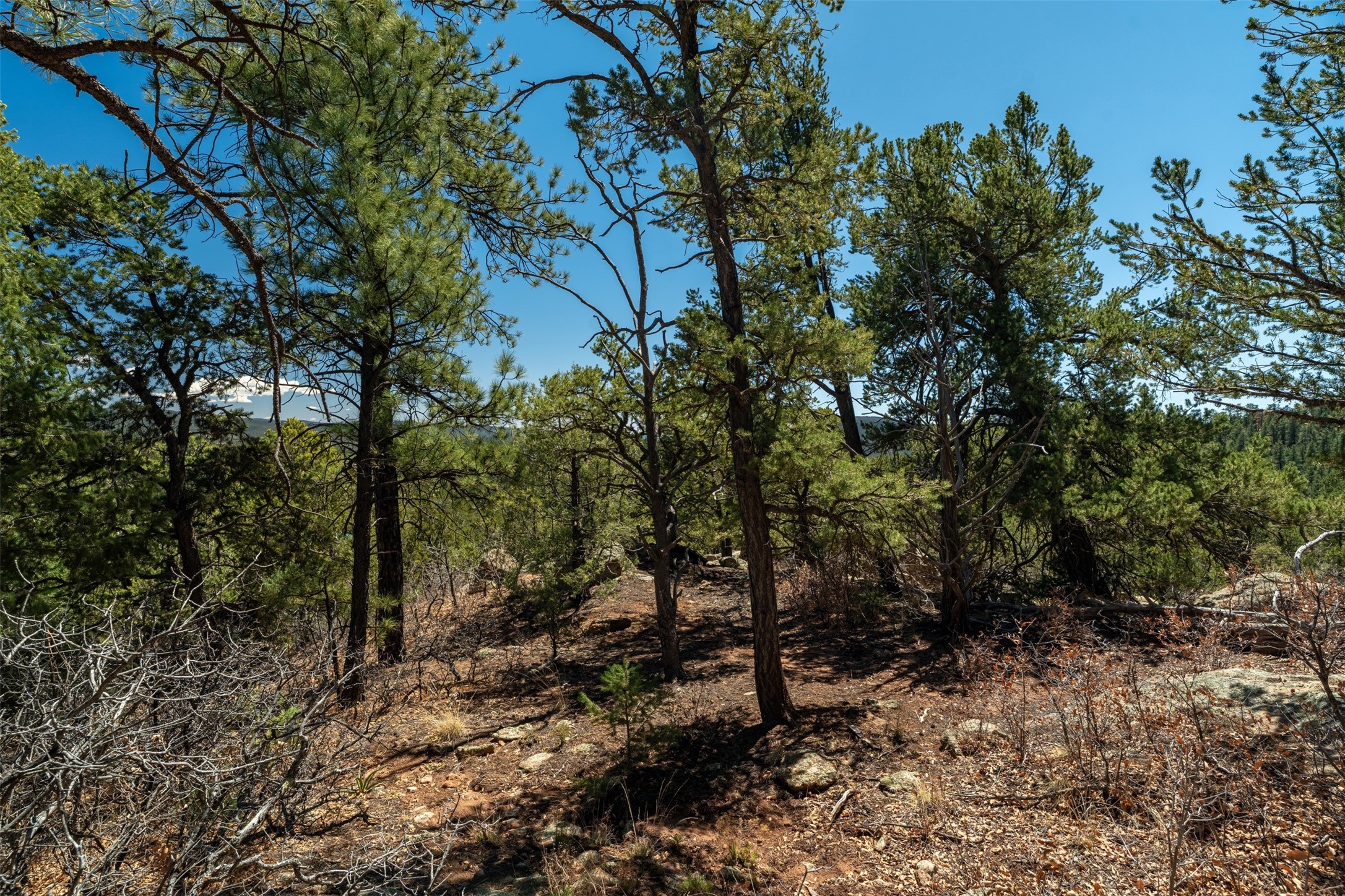 30 Monte La Cueva Road