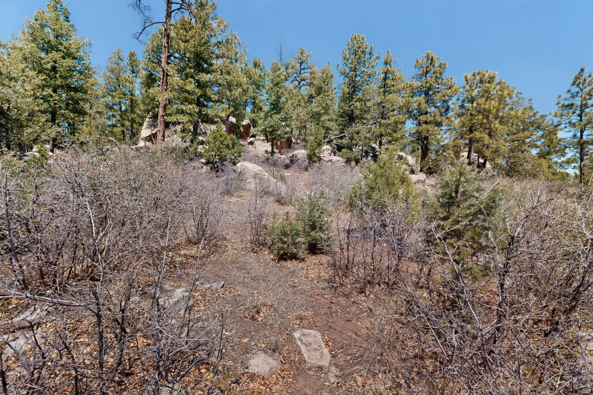 30 Monte La Cueva Road