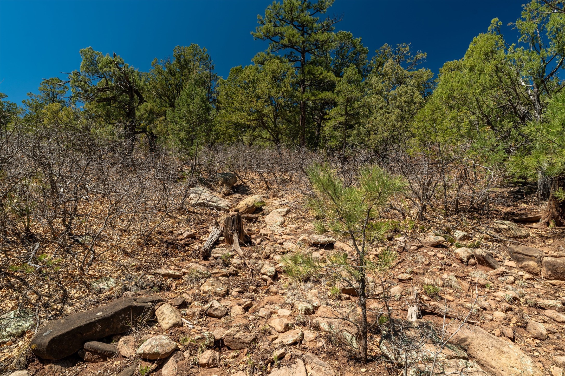 30 Monte La Cueva Road