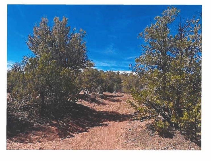 28.962 Acres off Camino Lomita