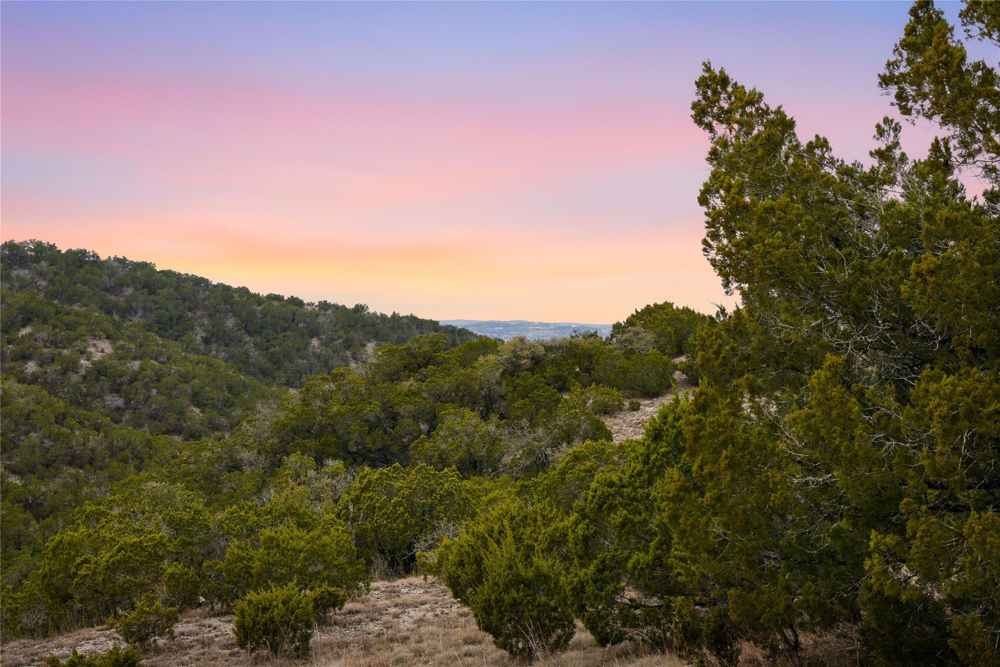 6204 MADRONE TREE LN