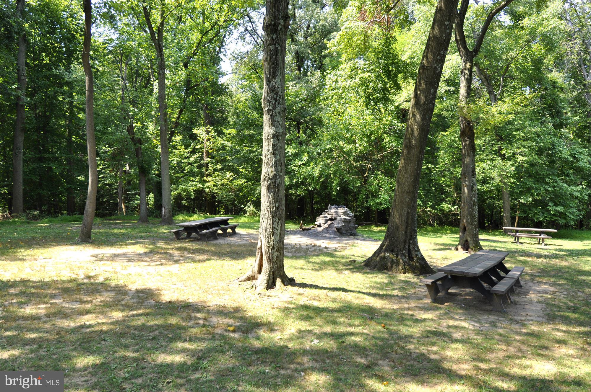 3701 Connecticut Ave NW #305