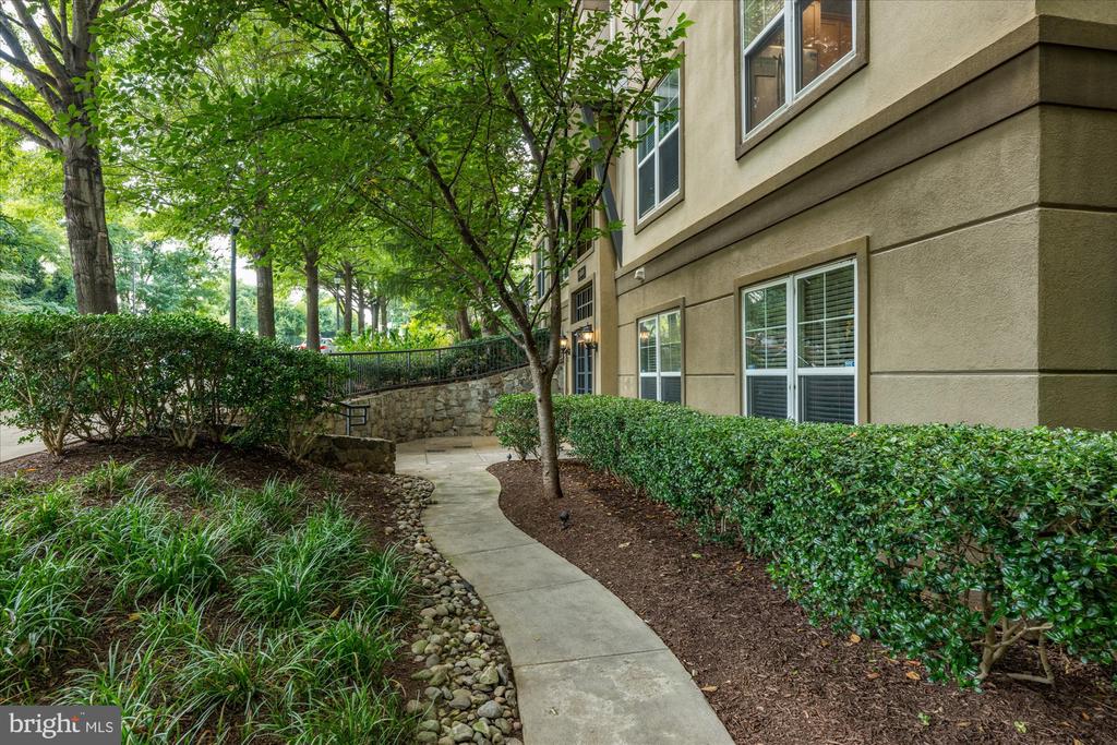 11800 Old Georgetown #1227