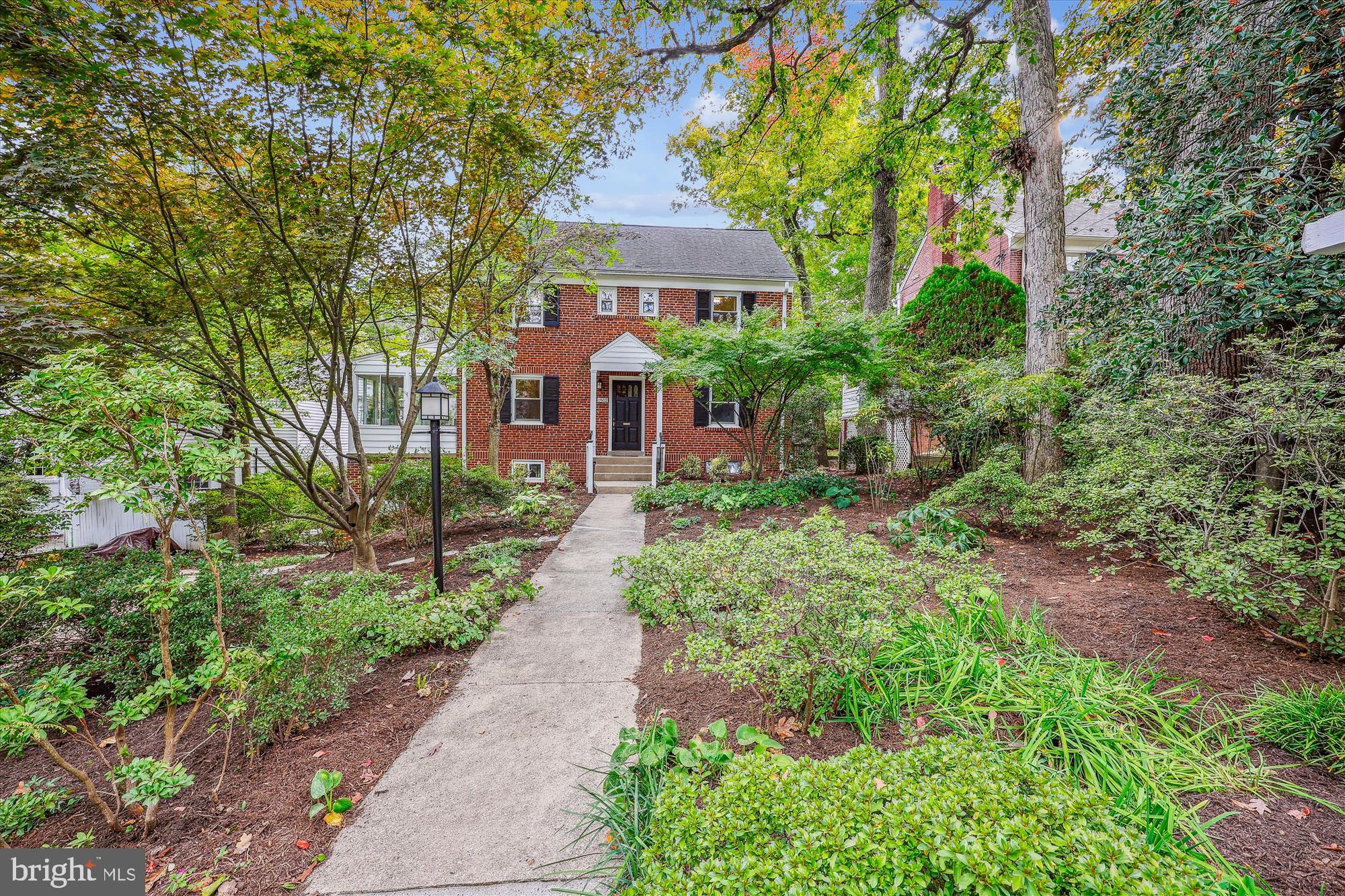 1502 Live Oak Dr