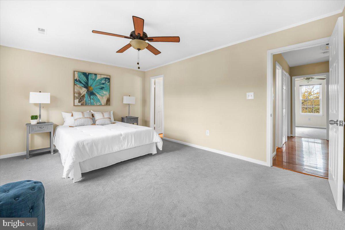 1936 FLOWERING TREE TERRACE