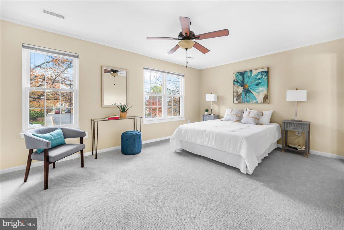 1936 FLOWERING TREE TERRACE