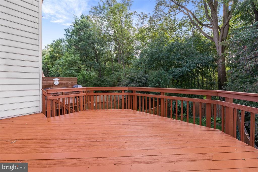 13630 CEDAR CREEK LANE