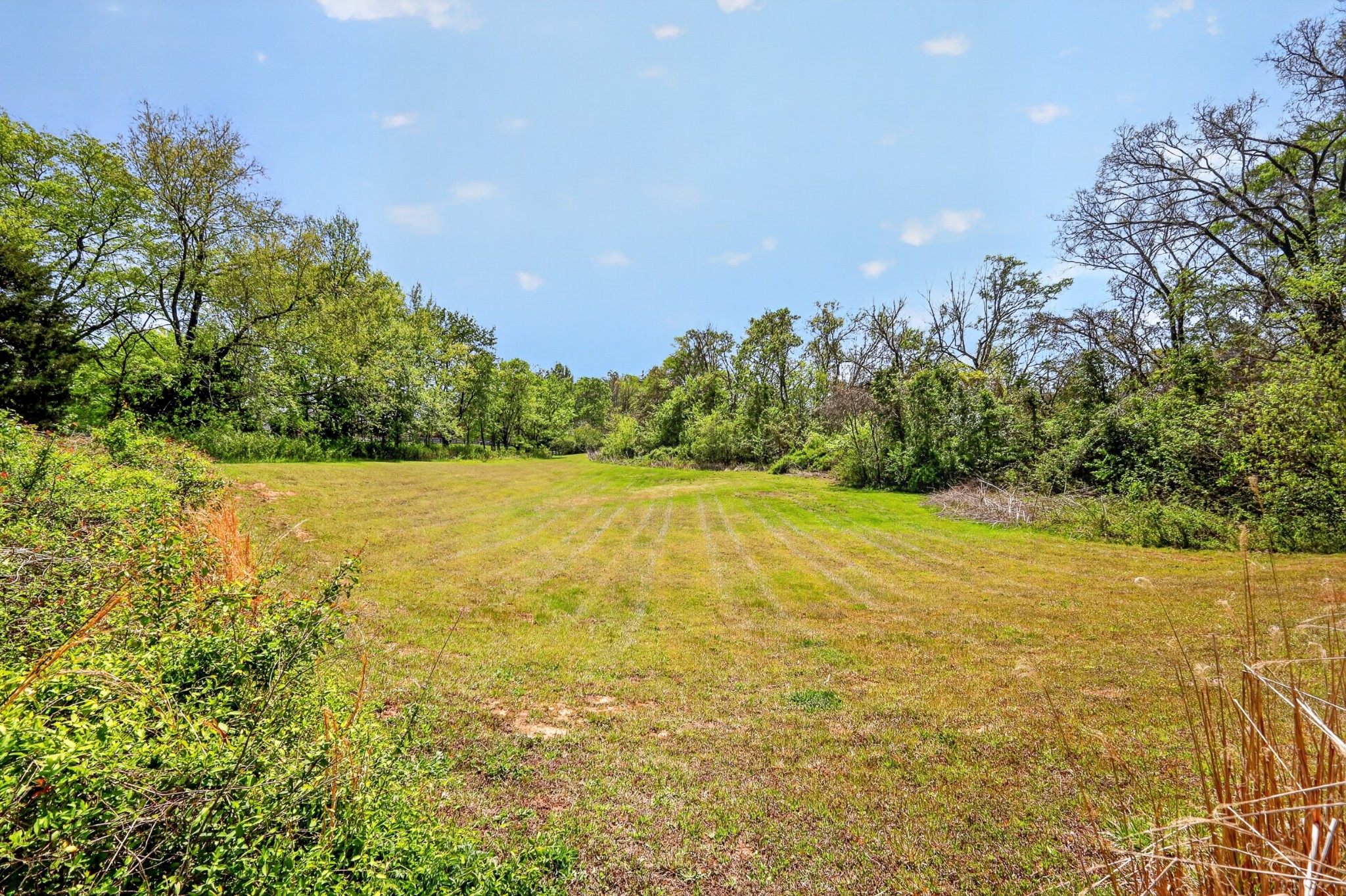 1329 Branchside Ct