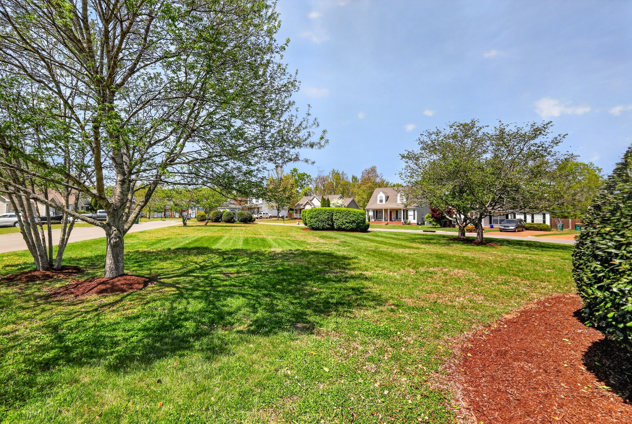 1329 Branchside Ct