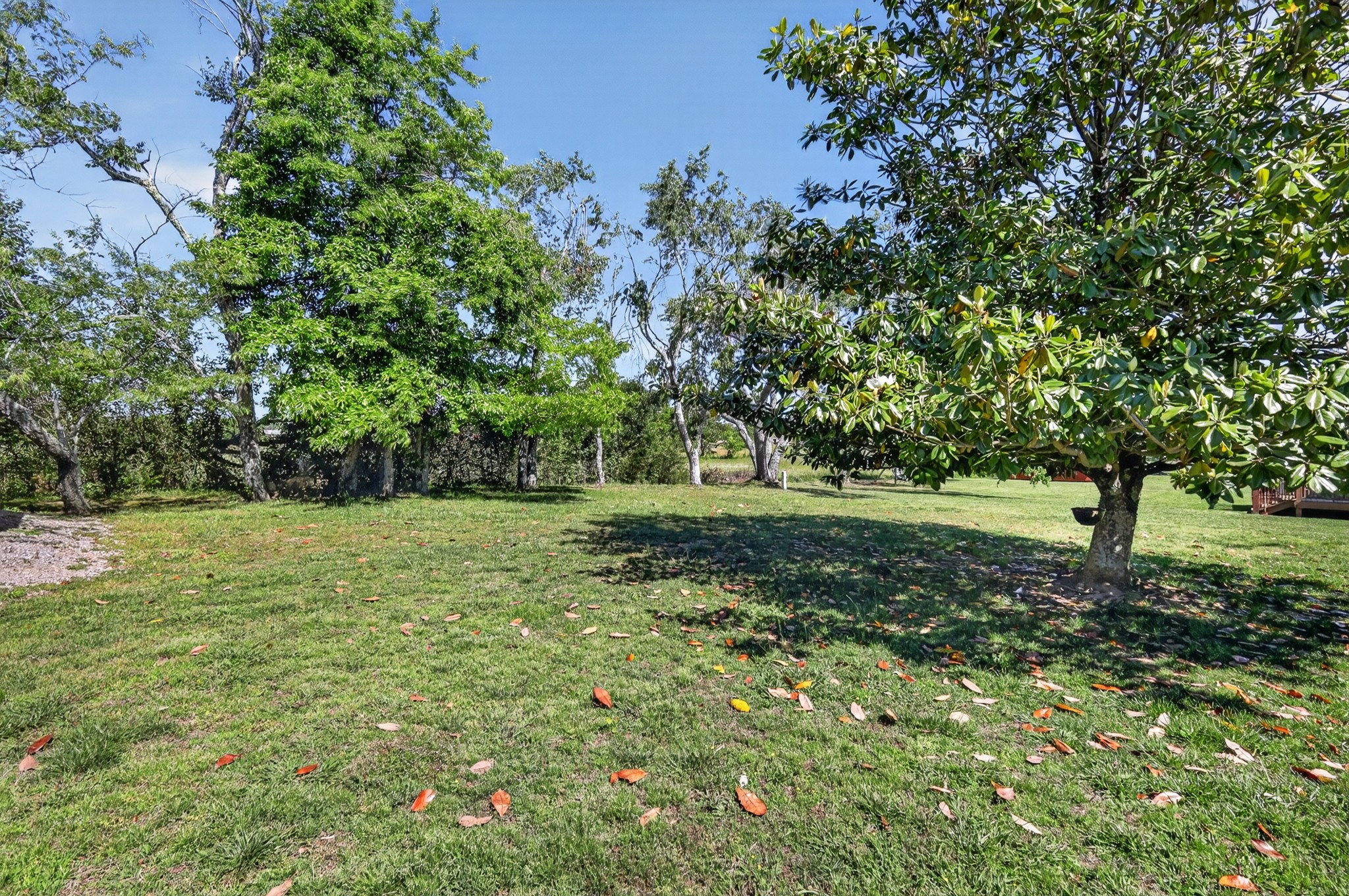 630 Edgefield Dr