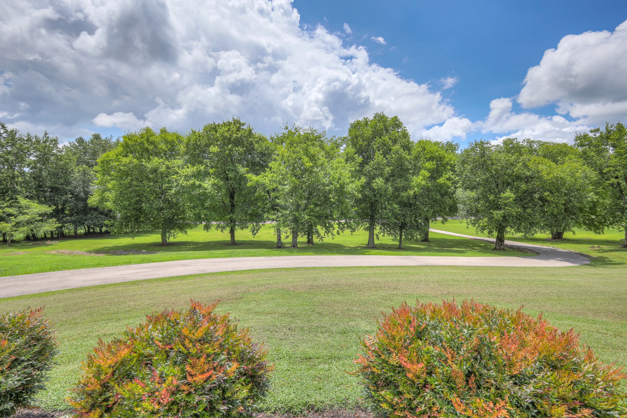 1110 Sequoya Trl