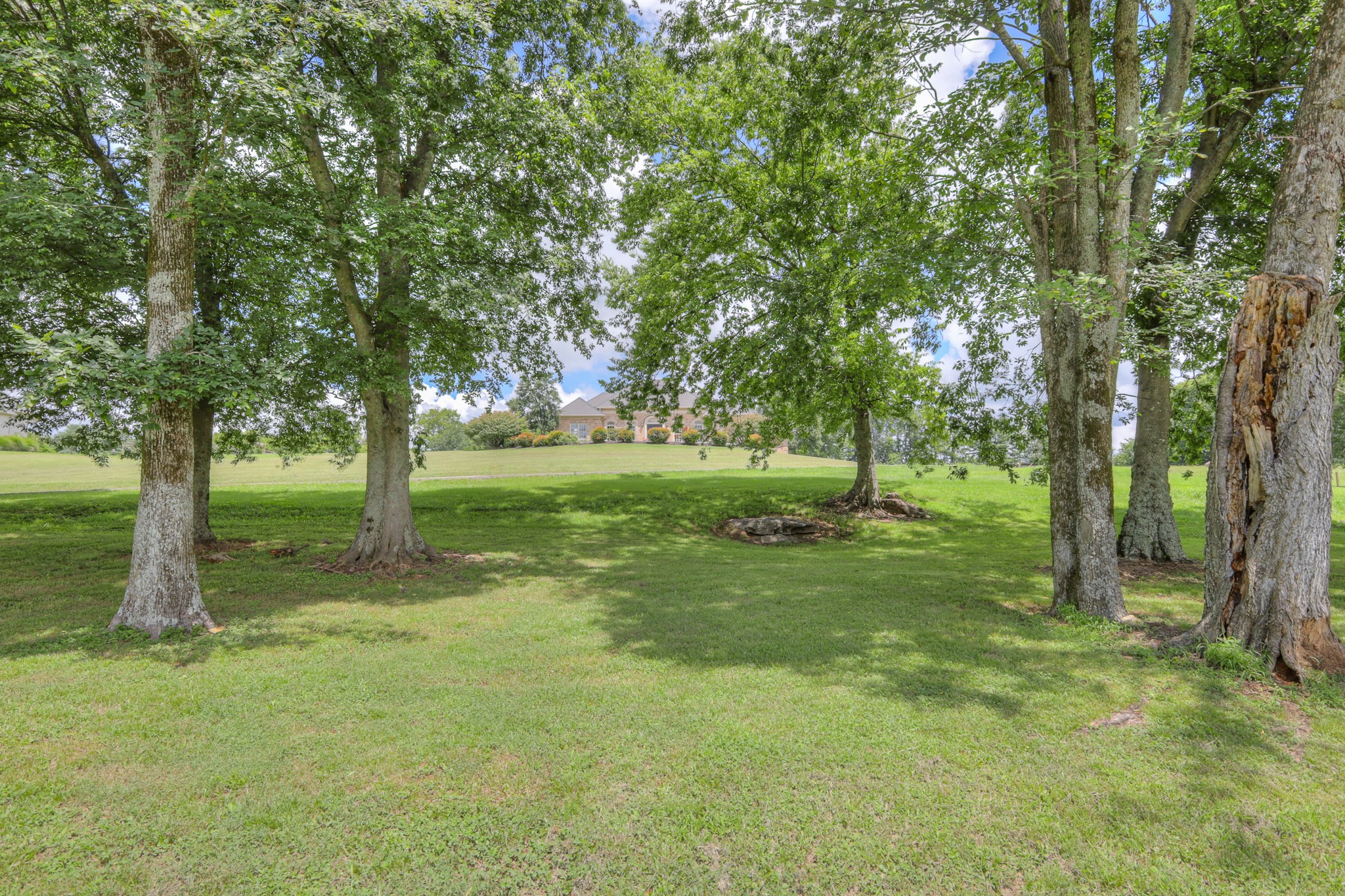 1110 Sequoya Trl