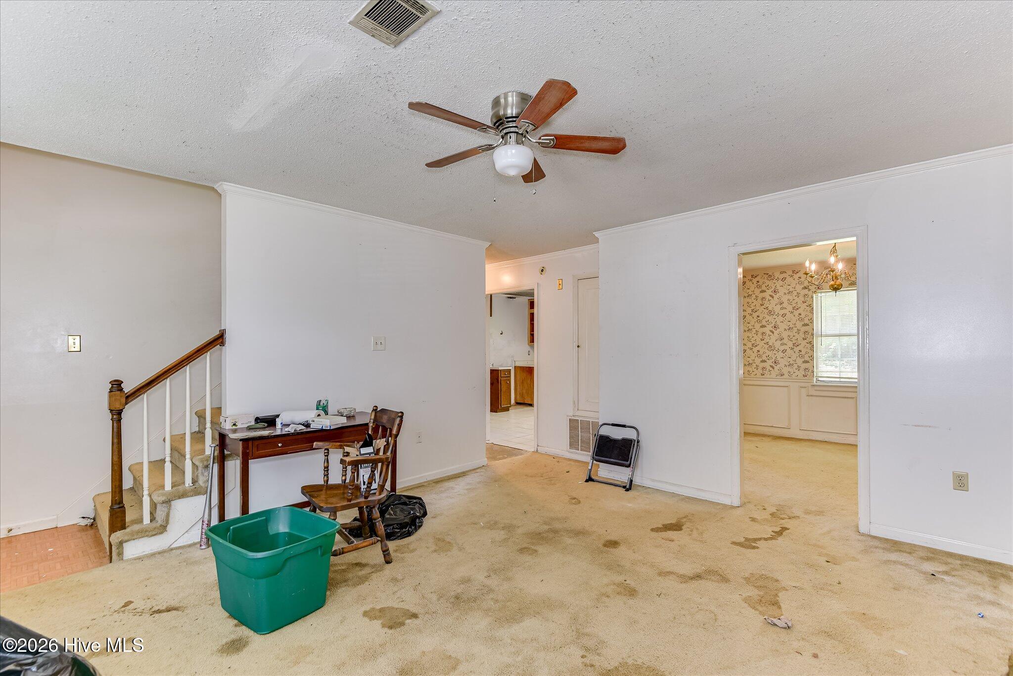 102 Moss Creek Drive