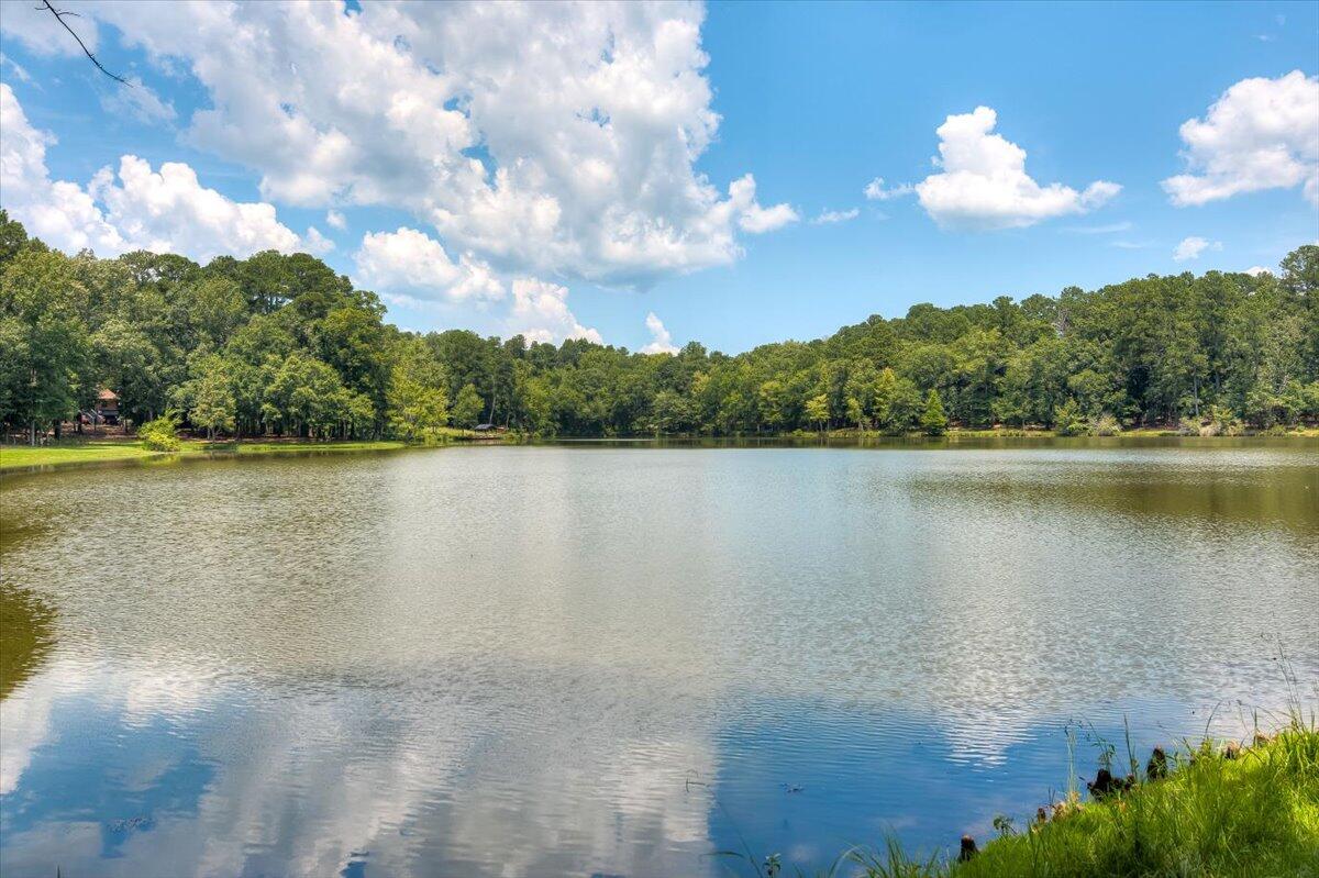 945 RUST BRANCH Lane