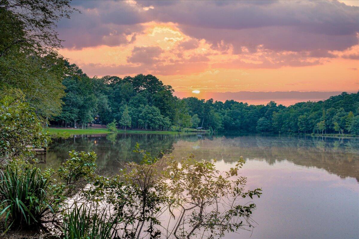 945 RUST BRANCH Lane