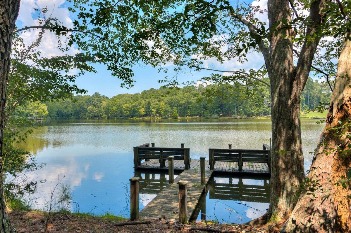 945 RUST BRANCH Lane