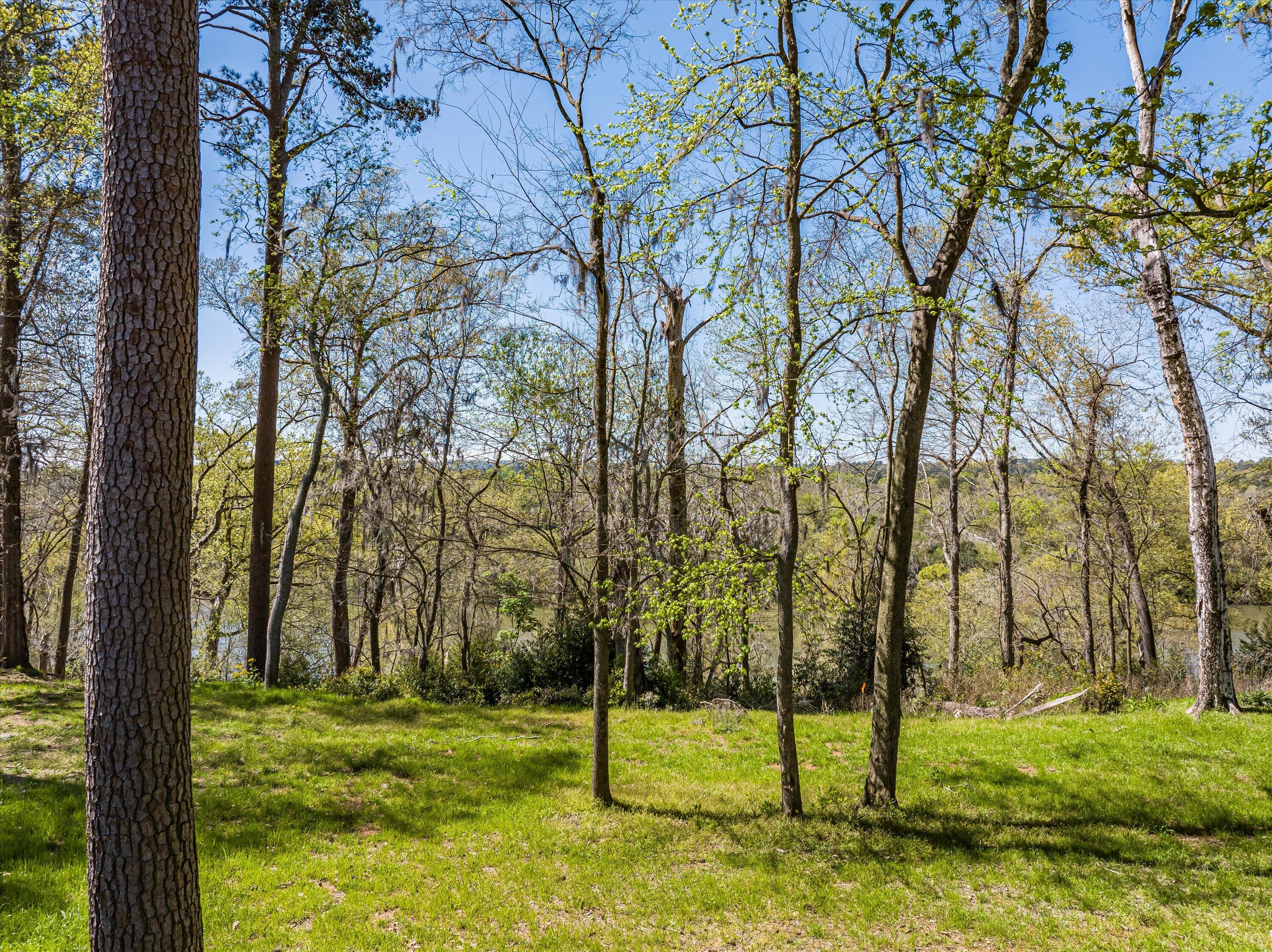 4 RIVER OAK Drive Unit: LOT 4