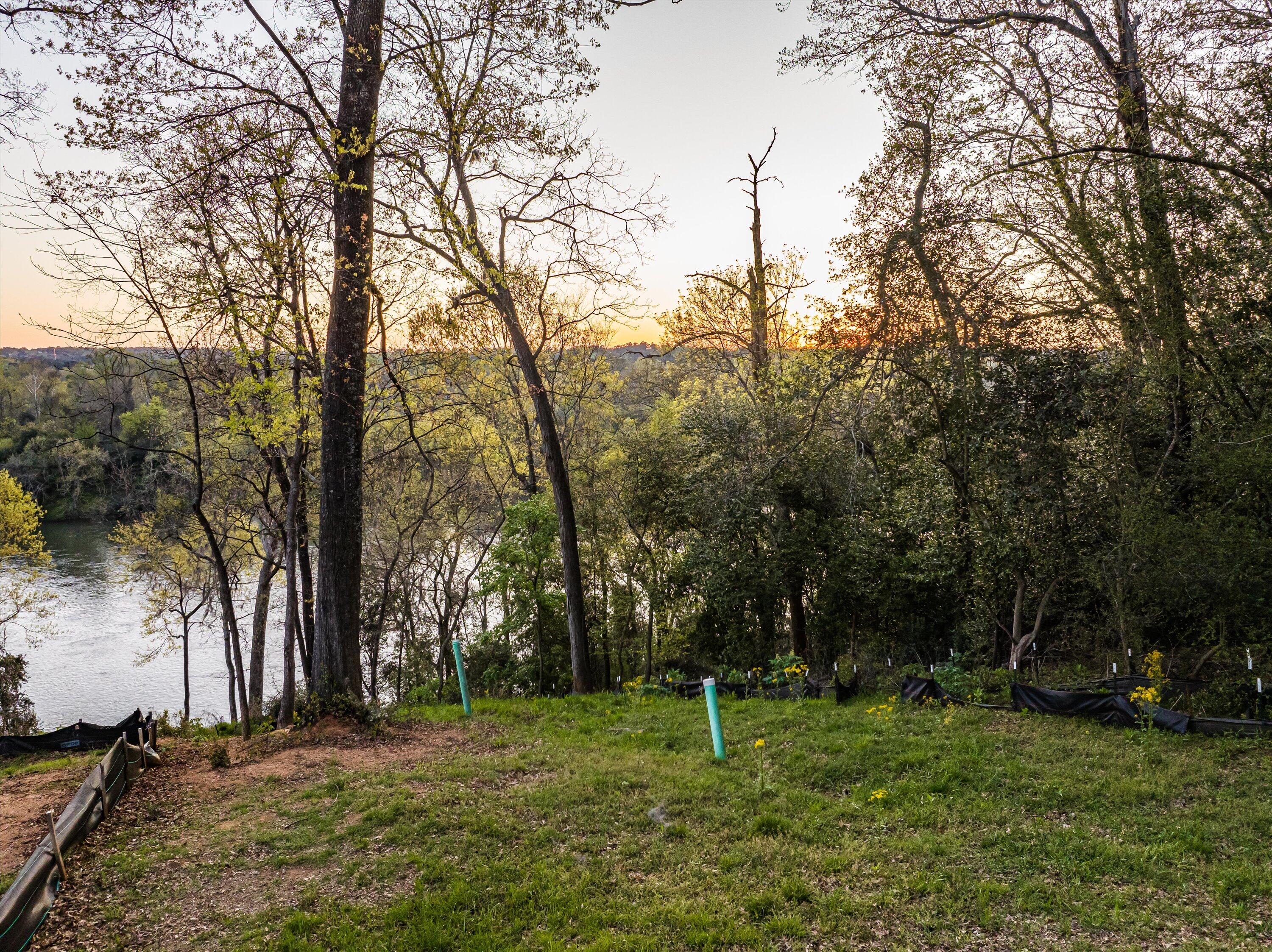 1 RIVER OAK Drive Unit: LOT 1