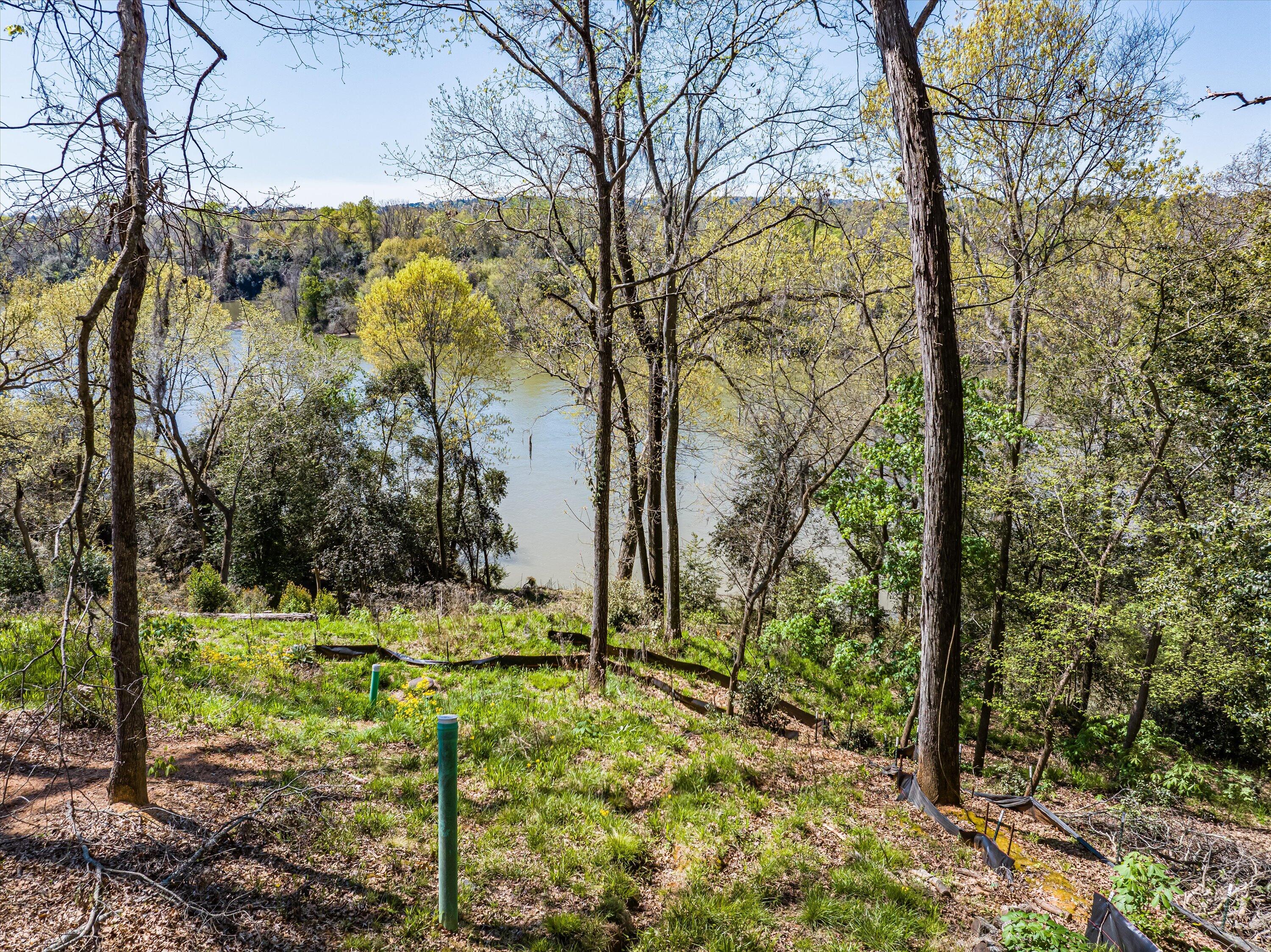 1 RIVER OAK Drive Unit: LOT 1