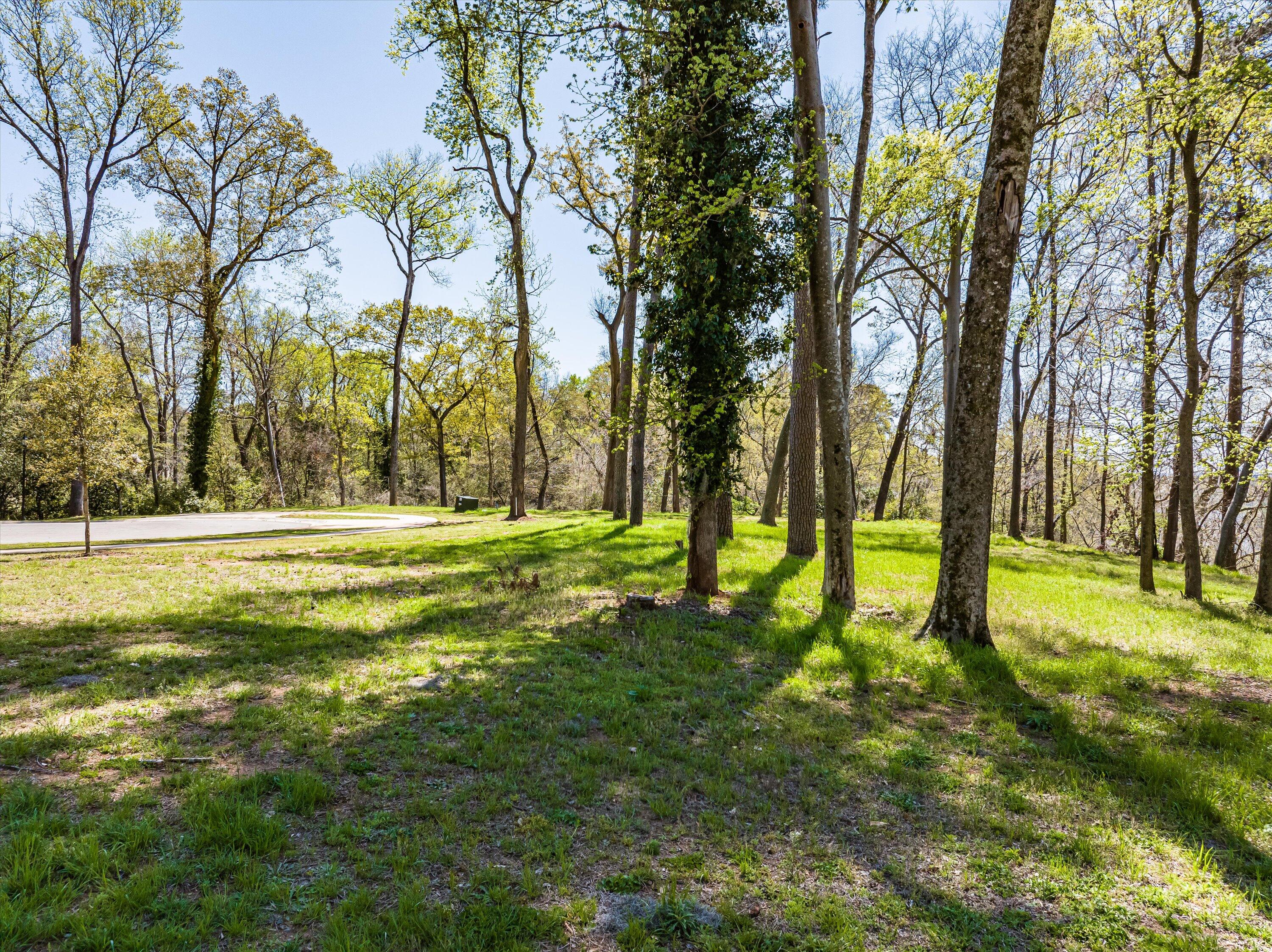 3 RIVER OAK Drive Unit: LOT 3