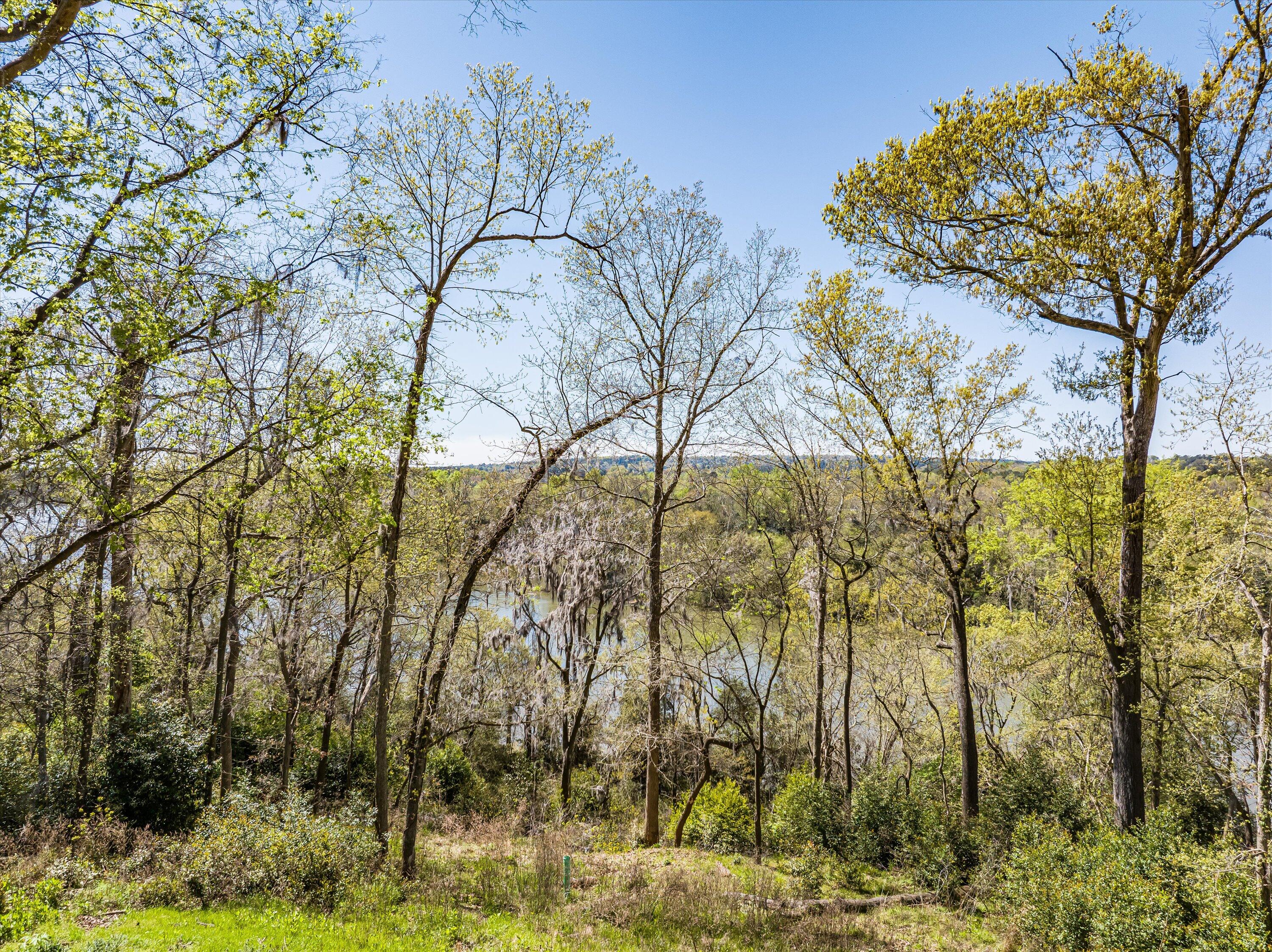 3 RIVER OAK Drive Unit: LOT 3