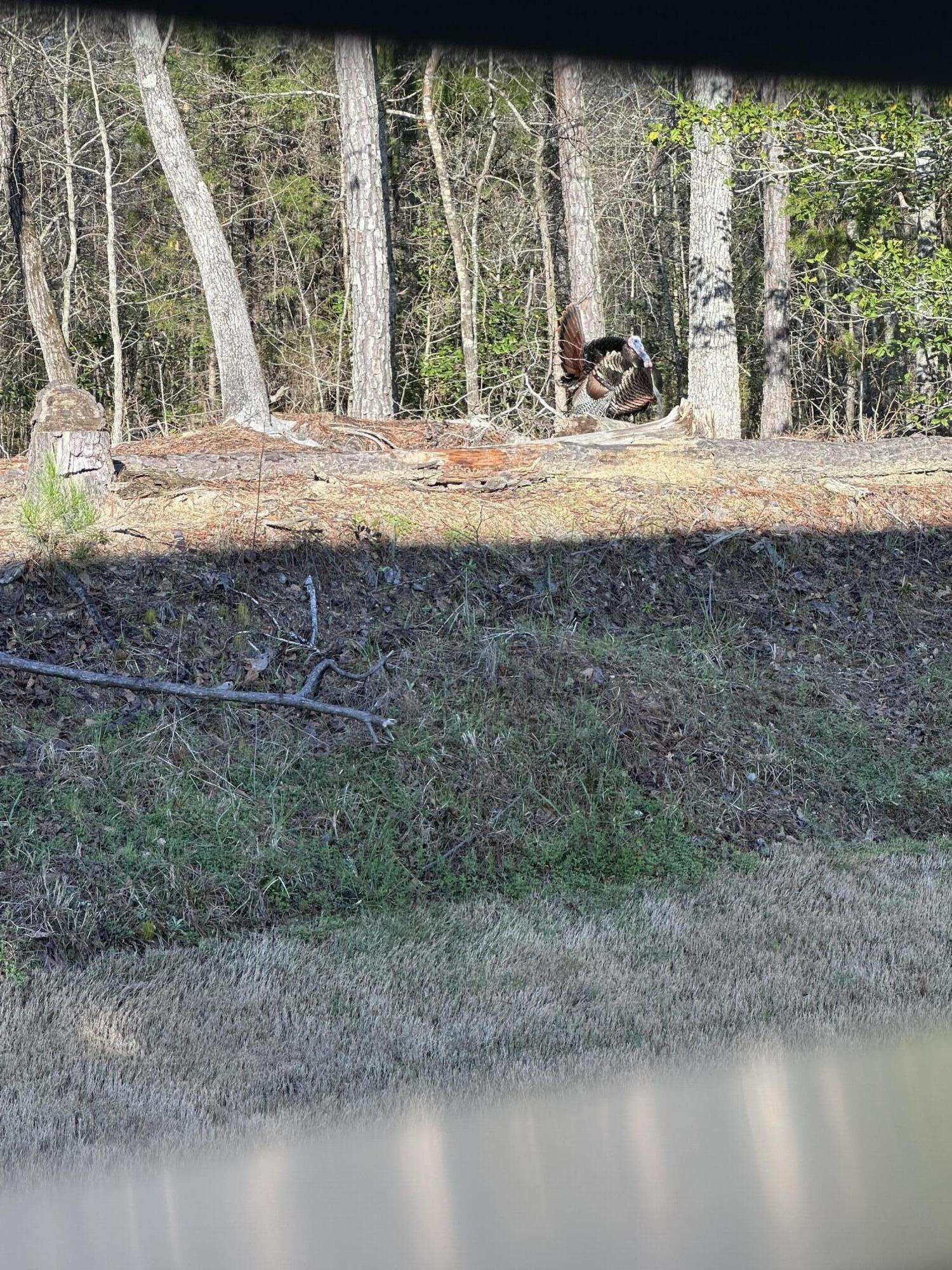 1030 Candleberry Drive, Grovetown