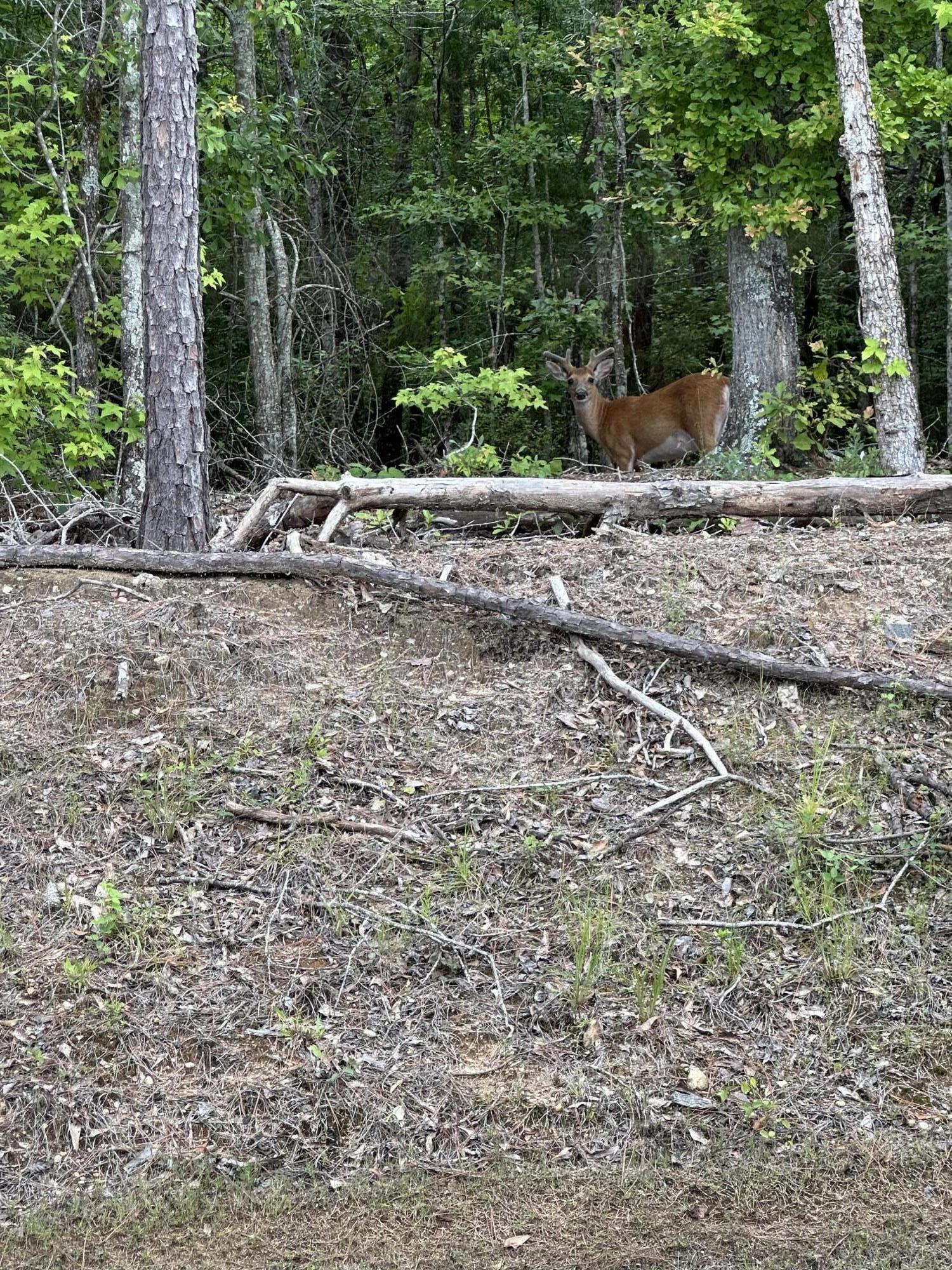 1030 Candleberry Drive, Grovetown