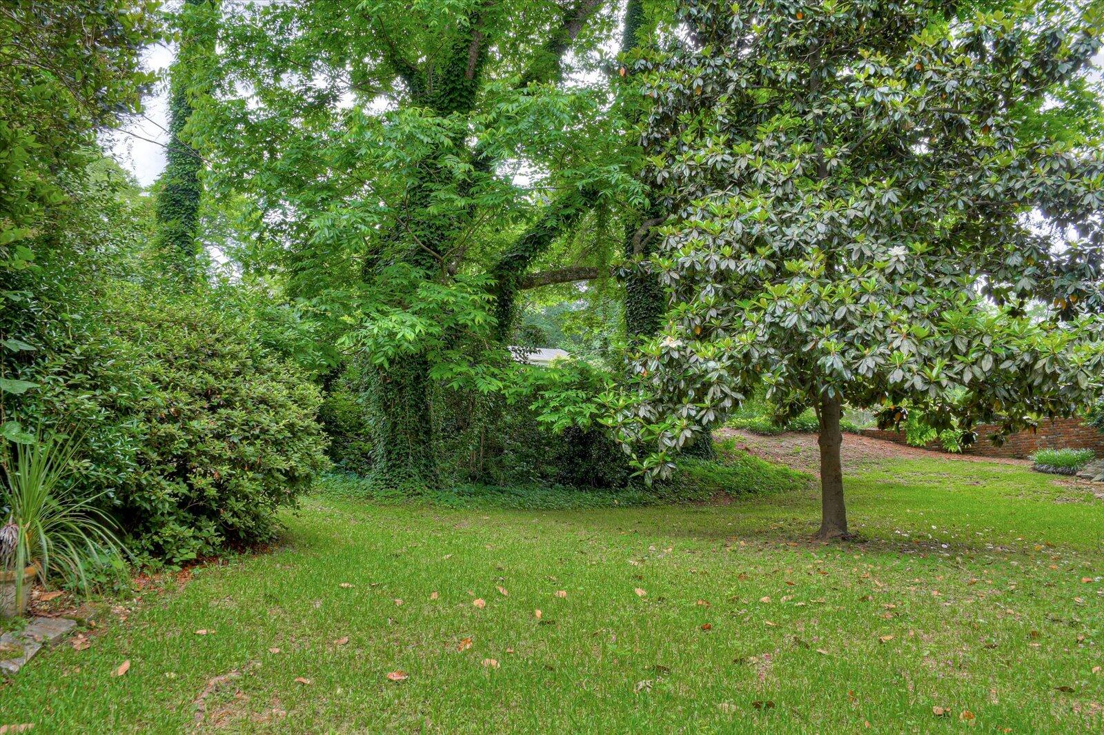 770 Wando Drive