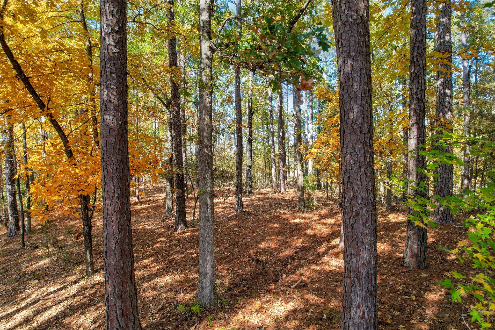 Lot 4 Block 15 Deer Run Lane, McCormick