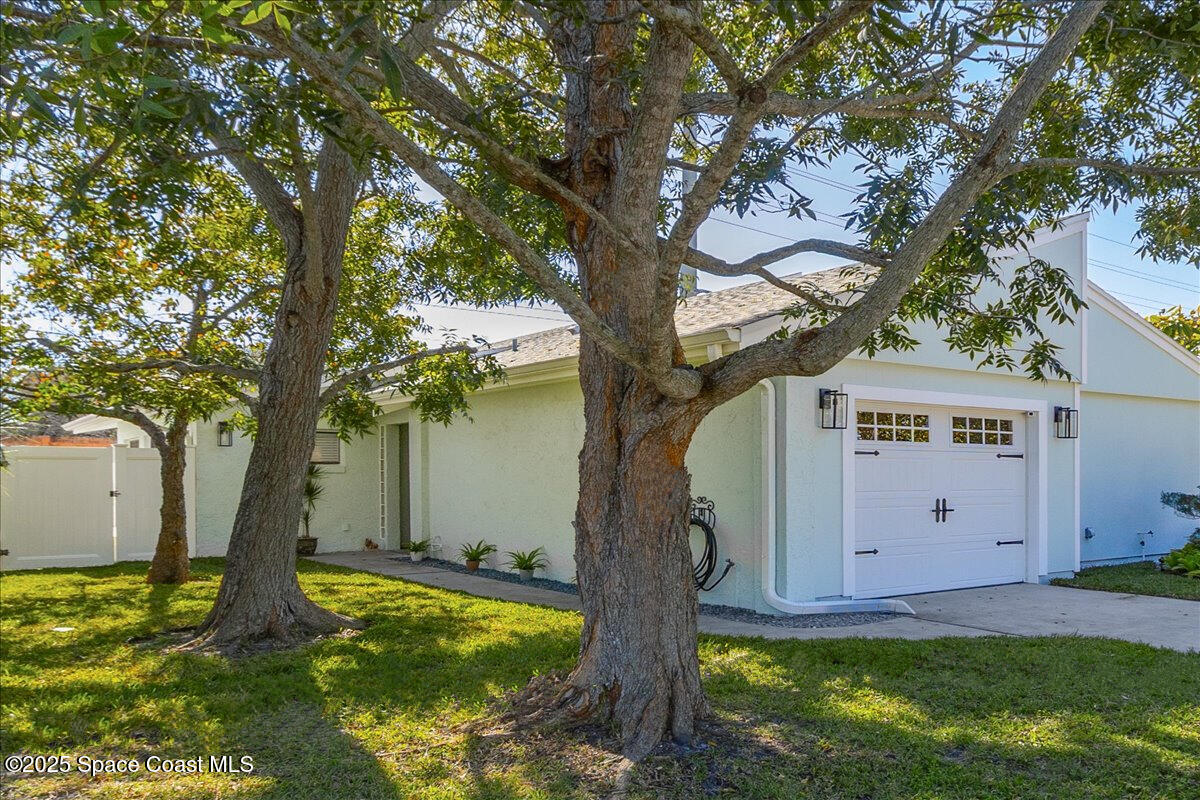 479 Willow Tree Drive