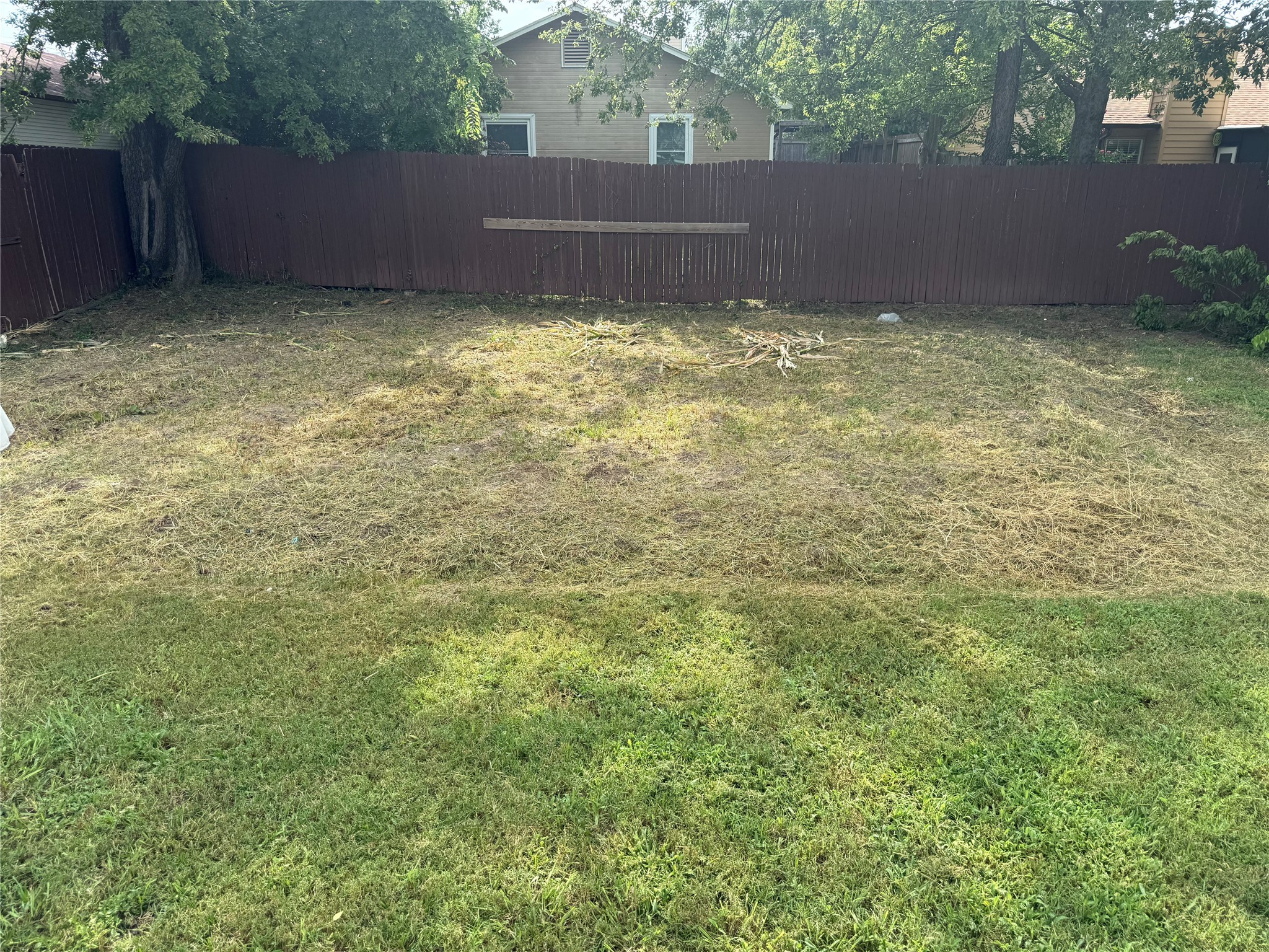 424 Water Oak