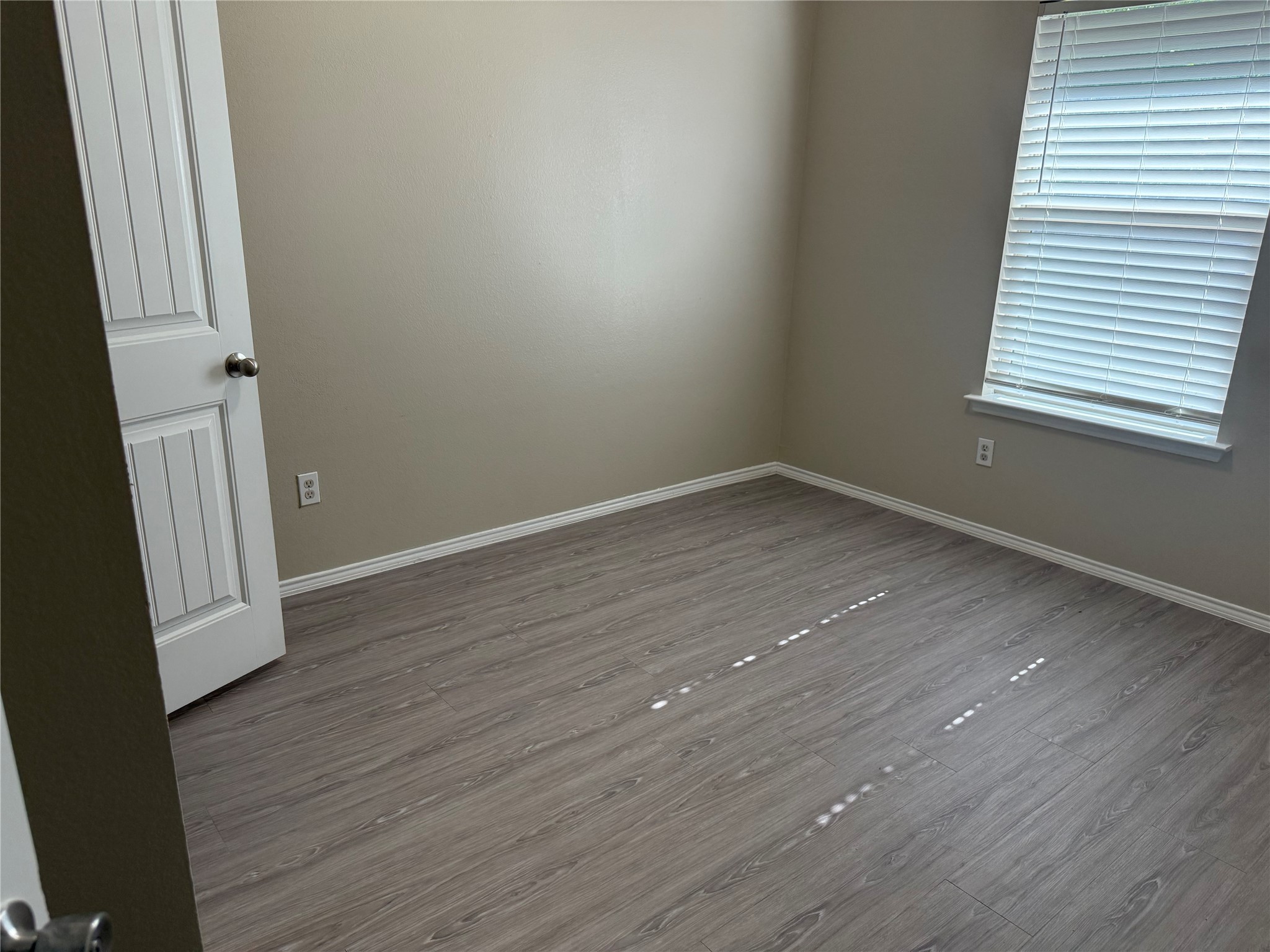 424 Water Oak