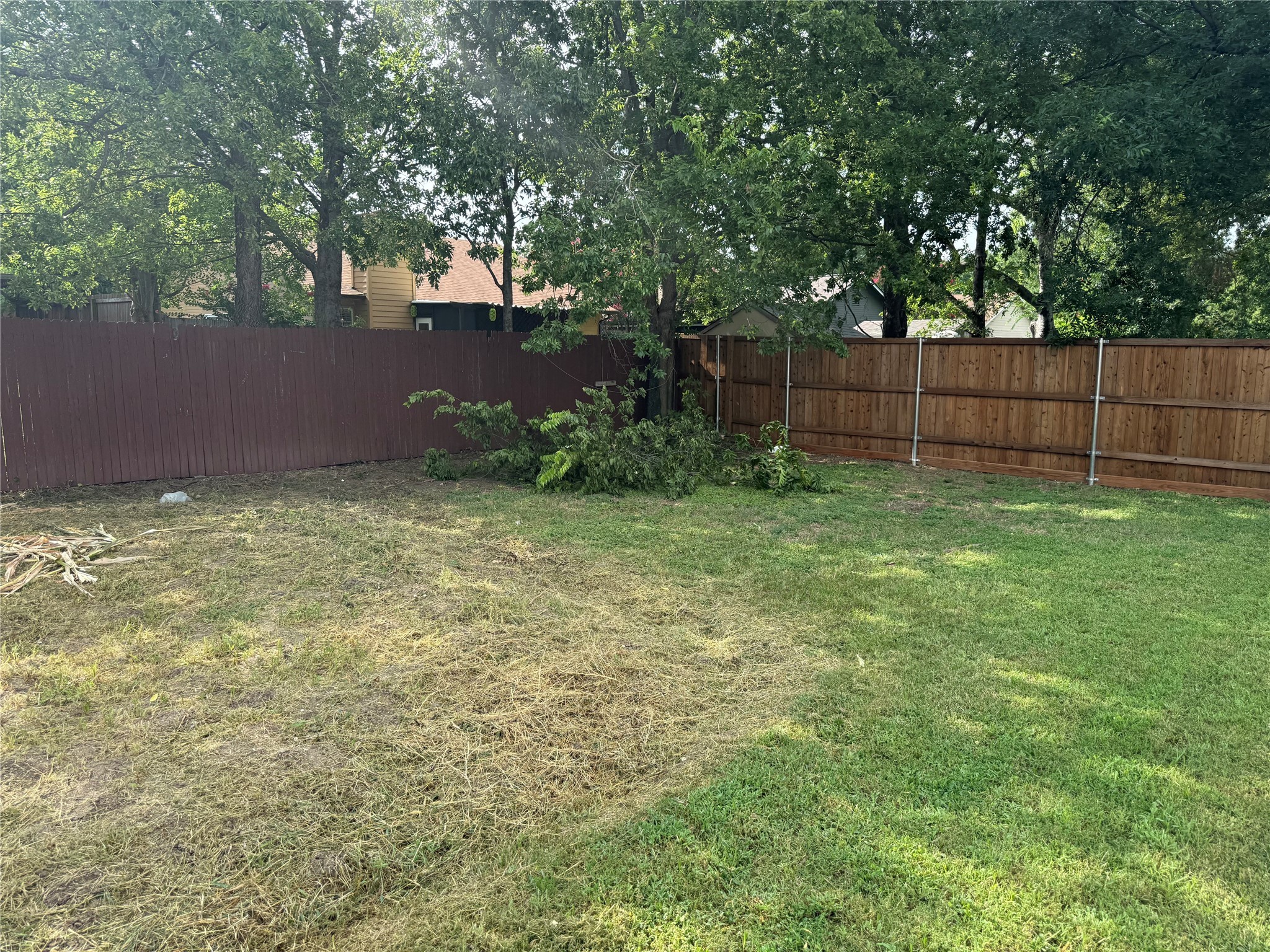 424 Water Oak