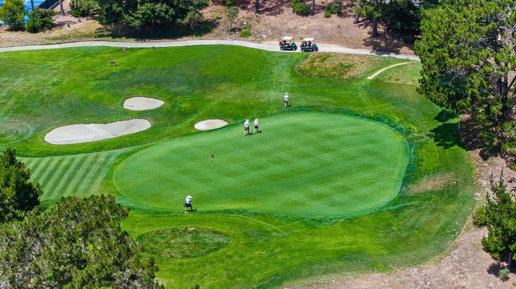 3475 Edgefield Place